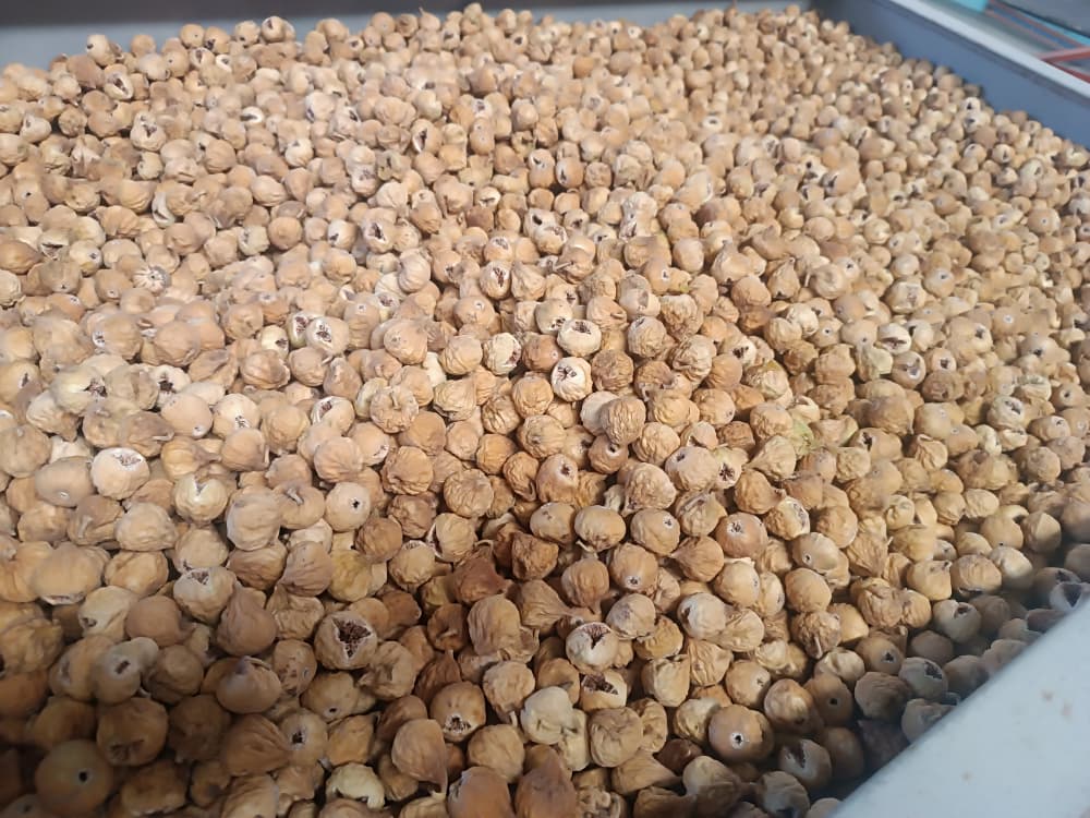 تصویر 1 از نرخ روز انجیر خشک زرد متوسط AA + خرید مطمئن